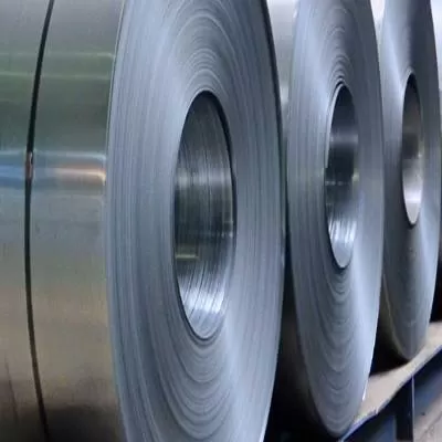 Vikas Ecotech acquires Shamli Steel for Rs 1.6 bn