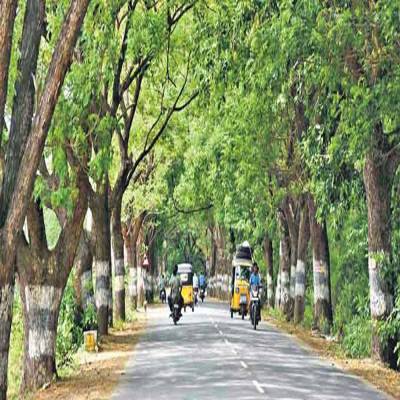 Telangana: 12 ULBs to get drainage systems, STPs