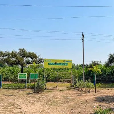 Hindustan Zinc Restores 1,105 Hectares of Land