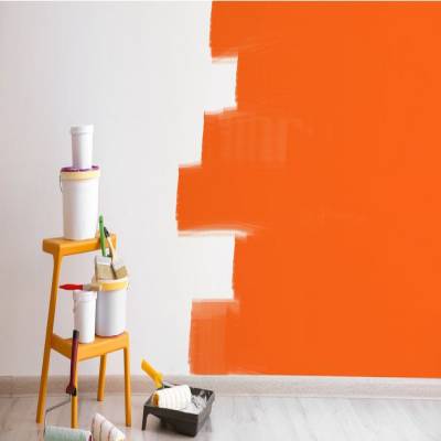 A Guide to Paint Your Own Home
