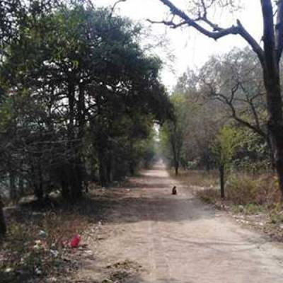Kanwar Marg project to take two more years to complete