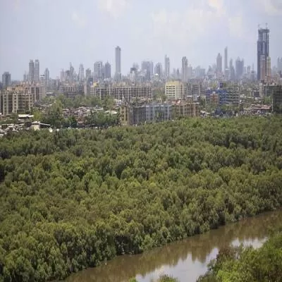 Mumbaikars Oppose Mangrove Destruction for Versova-Dahisar Coastal Road