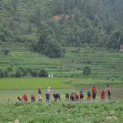 India, Nepal Ink Pact to Deepen Agricultural Ties