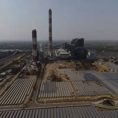 India Grants Relief to Renewables Hit by Bustard Ruling