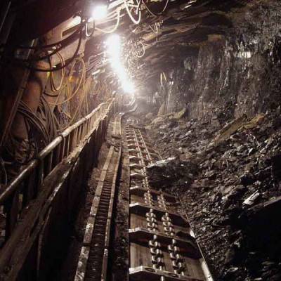Assam losing Rs 20 bn revenue per month due to illegal coal mining