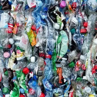 India Among Top 12 Nations Responsible for 60% of Mismanaged Plastic Waste