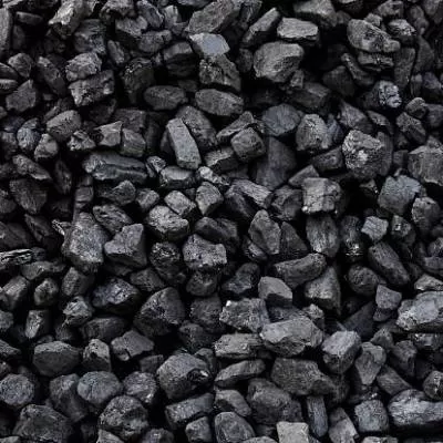 CIL Boosts Exchequer with Rs.60.14 Billion
