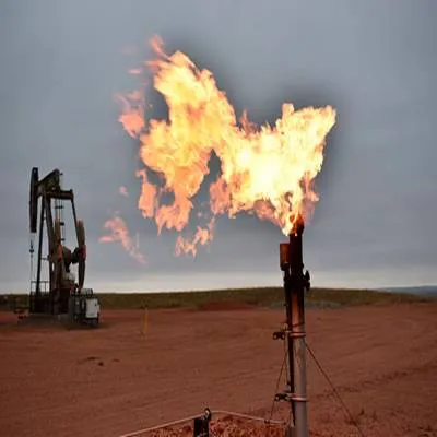 Oil India, TotalEnergies Join Hands For Deepwater Exploration