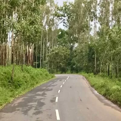 Centre Sanctions Rs 42.24 Bn for 316 Rural Roads in J&K