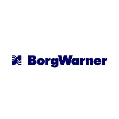 BorgWarner secures dual inverter biz with Chinese OEM