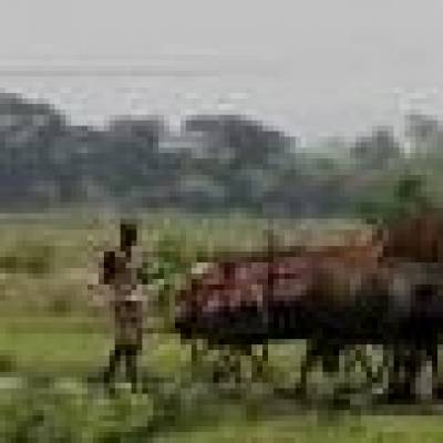 Aurangabad civic body seeks land for safari park development 