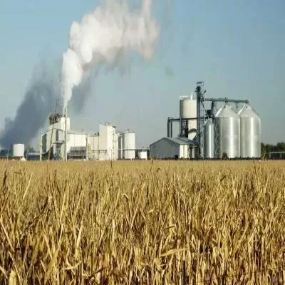 Government Permits Maize Sale to Ethanol Makers