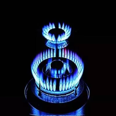 Govt Cuts Domestic Natural Gas Prices to $7.29 Per MmBtu for Dec