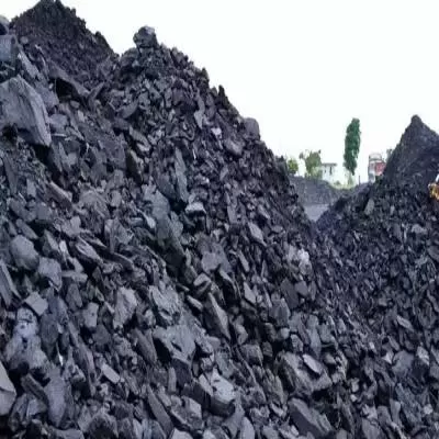 Coal India and NMDC eye lithium mines