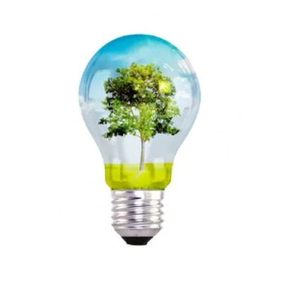 Power Pavilion Showcases India’s Clean Energy Progress at IITF
