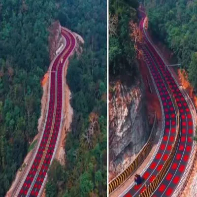 NHAI Introduces Wildlife-Safe Red Markings On NH-45