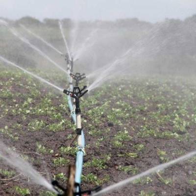 Rajasthan focuses on micro irrigation initiatives 