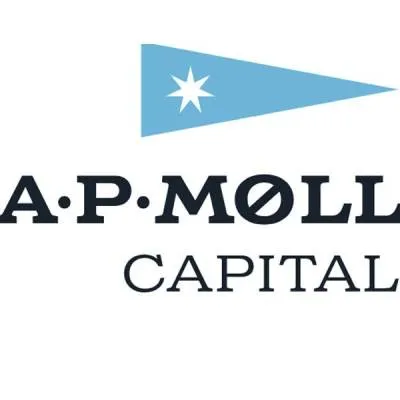 AP Moller Capital to Invest up to Rs 13.50 Bn in Rays Power Infra