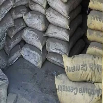 Ambuja Cement Reports Rs 10.8955 Bn Q3 FY24 Net Profit