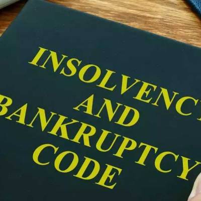Expert panel suggests changes in insolvency law