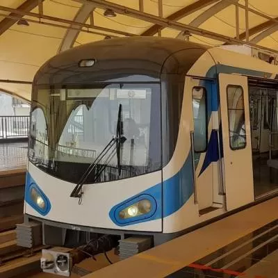 GMDA Approved to Cut 1,300 Trees for Gurugram Metro Construction