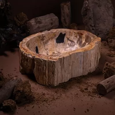 Stone Art unveils petrified wood washbasins inspired by nature 