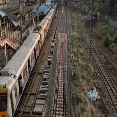 166 Trees To Be Removed For Borivali–Virar Rail Expansion
