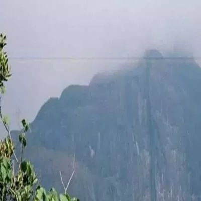 Government Greenlights 43 Projects