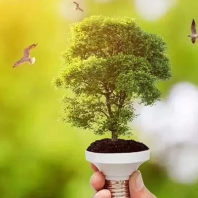 Greenzo Energy Wins Green Hydrogen Project for Ennore SEZ Plant