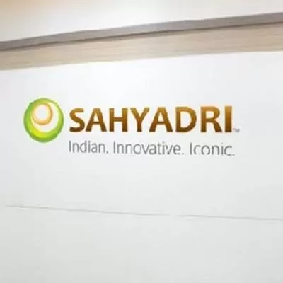 Sahyadri Industries PAT Falls, Declares FY25 Dividend