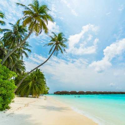 Great Nicobar island projects worth Rs 750 billion green lighted