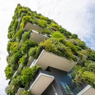 Transforming Real Estate with Sustainable Choices 