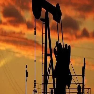 Panel Flags Oil Import Risks, Urges Supply Diversification
