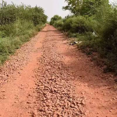 Residents suffer due to lack of road in layout