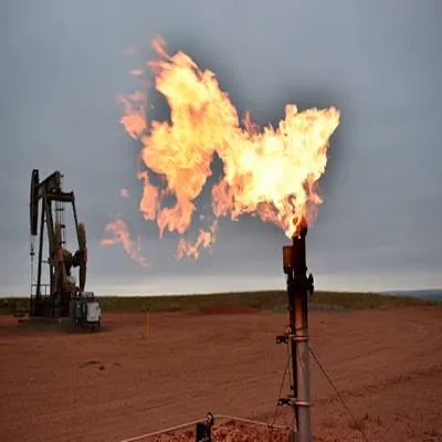 Oil India, TotalEnergies Join Hands For Deepwater Exploration