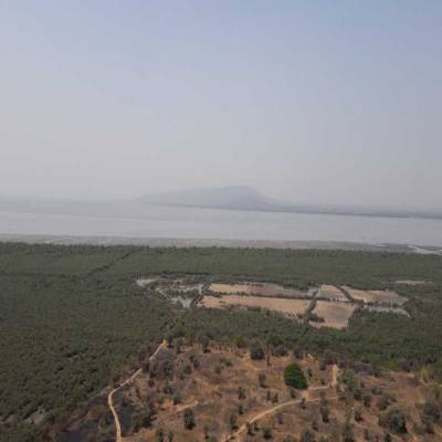 NGT prohibits leasing plot near Navi Mumbai creek