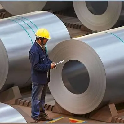 JSW Halts Mongolia Coking Coal Plan Over Logistics