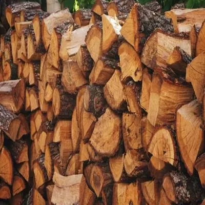 Infra.Market Reshapes India’s Wood Panel Sector with Digital Edge