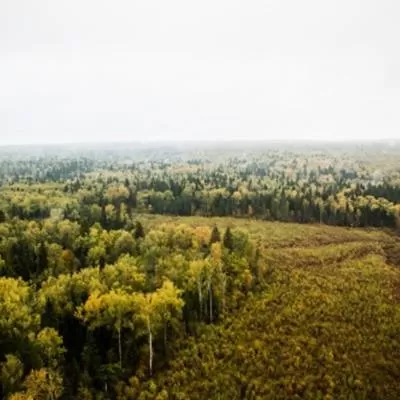 BMC to Receive 19.43 Hectares of Forest Land