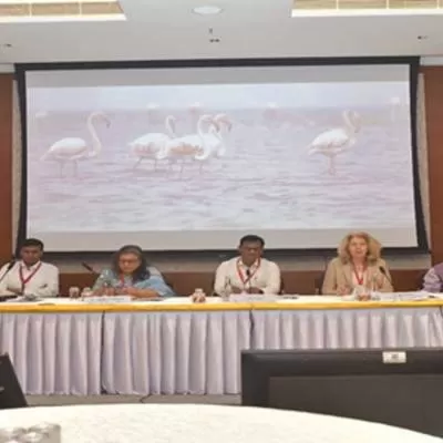 Delhi Launches Plan to Rejuvenate River Yamuna