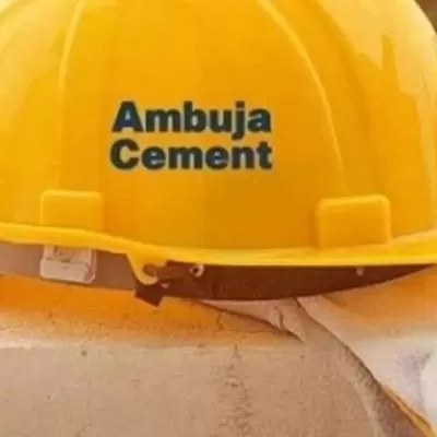 Ambuja Cements May Rise 30 Per Cent on Growth and Margins