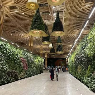 BIAL Raises Rs 90 Billion in Landmark Airport Sector NCD Deal