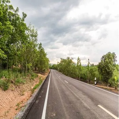 Connectivity Projects Gain Momentum Across North East Region