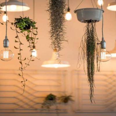 Role of lights in home interiors