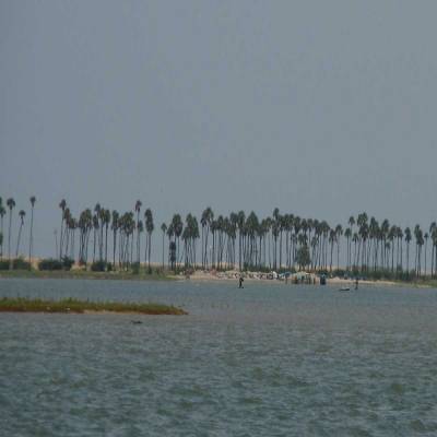 Andhra CM revives Pulicat Lake project