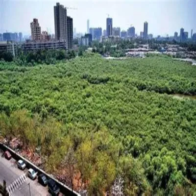 Dahisar-Bhayandar Coastal Road Gets Clearance with Green Conditions
