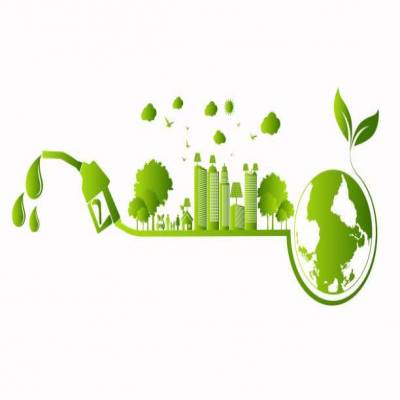  Biomass Briquettes: Goa’s project to turn agri waste into green fuel
