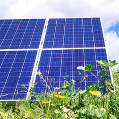 State-owned SJVN bags Rs 70 bn Solar Contract from PSPCL