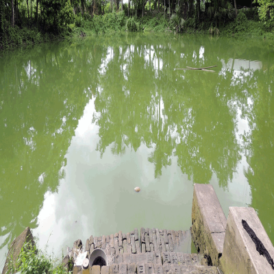 Greater Noida's ponds revival via ozonisation